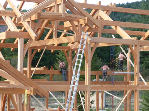 Samuelson Timberframe Design - Craftsman timber frame